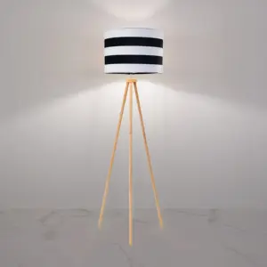 Modern Floor Lamp