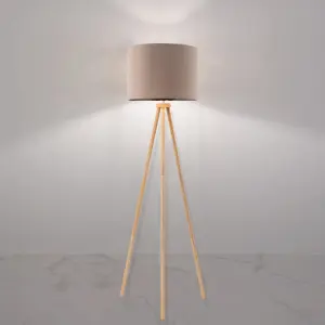 Modern Floor Lamp