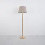 Modern Floor Lamp FL20