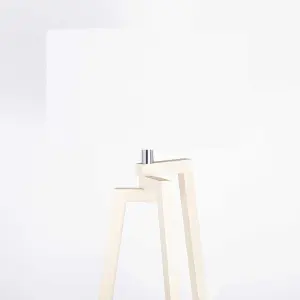 Modern Floor Lamp