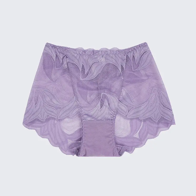 Plus Size Women's Lace See-through Panty