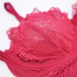 Plus Size Sexy Sheer Tummy Shaper Slimming Bodysuit
