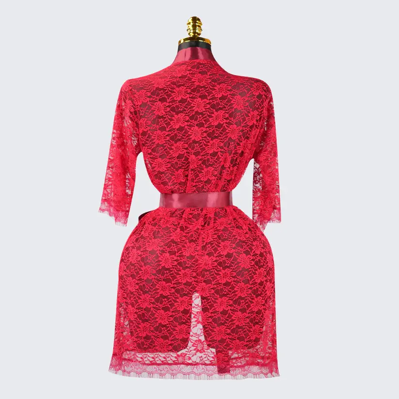 Lace Embroidered Sheer Hollow-Out Robe