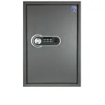 LG Safe - 60 FPC Gray