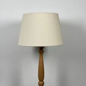Modern Floor Lamp