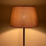 Modern Floor Lamp