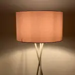 Modern Floor Lamp