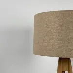 Modern Floor Lamp