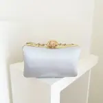 Silver Evolette Clutch