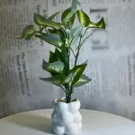 Bubble Leaf Planter
