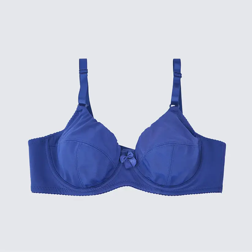 Plus Size Seamless Smooth Breathable Comfort Bra Panty Set