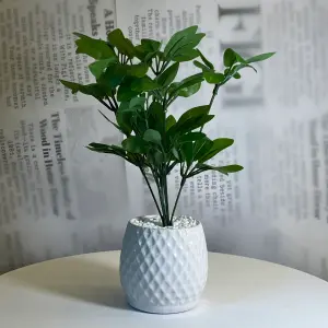 Diamond Leaf Planter
