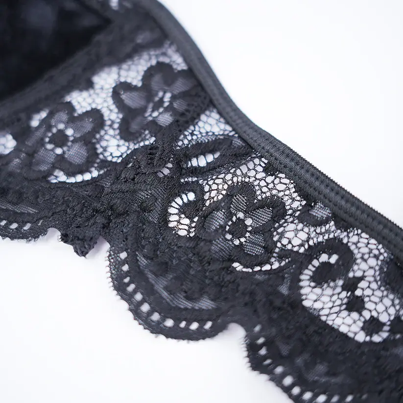 Velvet Lace Trim Sexy Plush See Through Push Up Bra Panty Set