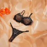 Leopard Lace Embroidered Panty Bra Set