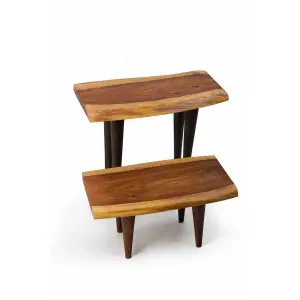 Live Edge Wood Side Table 2 Piece
