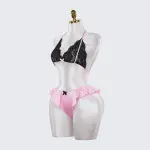 Contrasting Colors Lace Embroidery See-Through Sexy Bra Panties Set