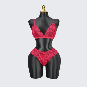 Plus Size Red Lace Bra Panty Set