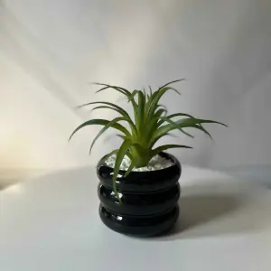 Novi Curve Planter
