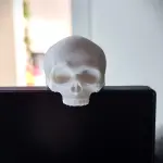 Monitor Buddy Skull