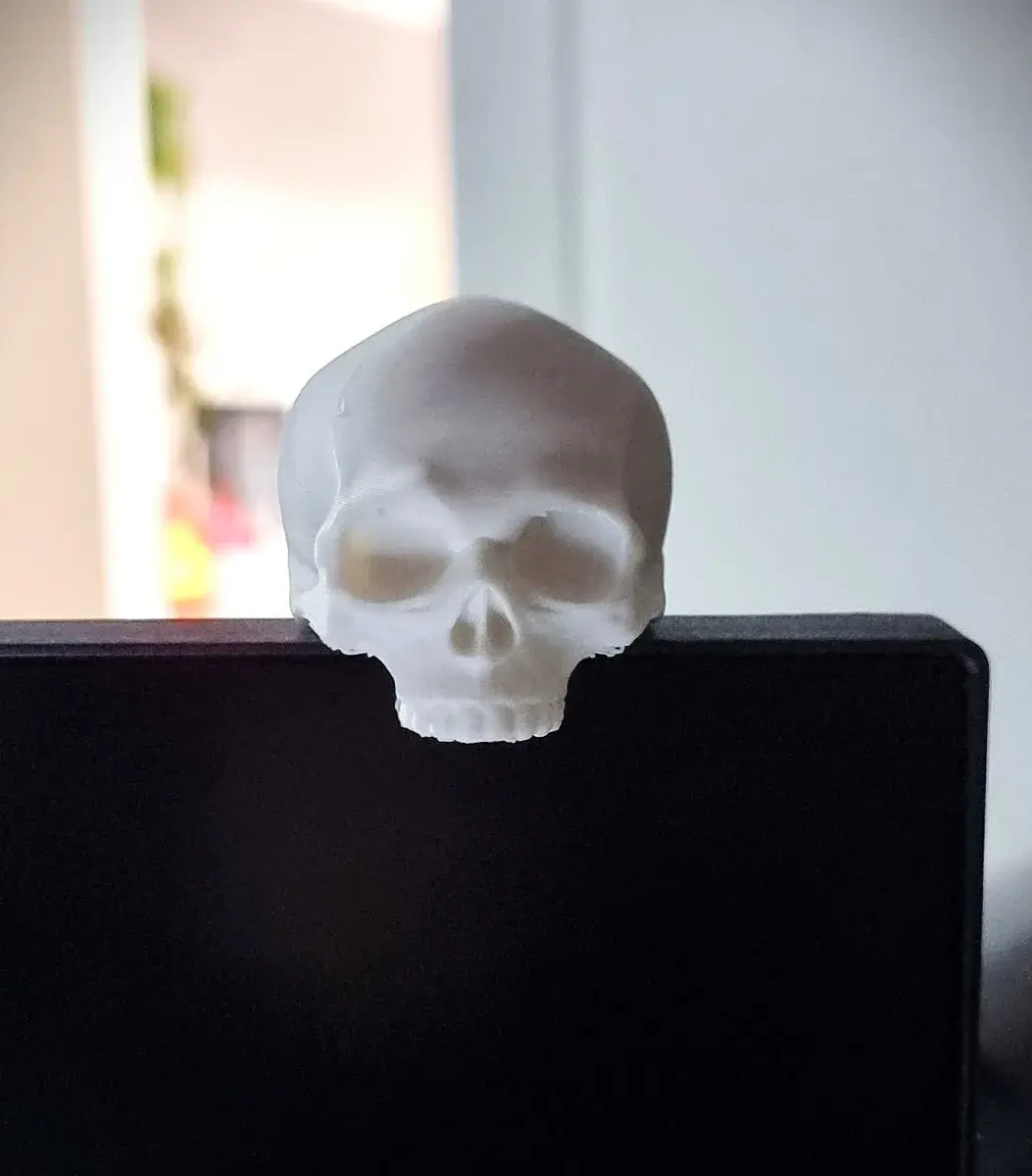 Monitor Buddy Skull