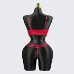 Red Lace Embroidery See-Through Sexy Bra Thong Set
