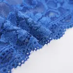 Plus Size Sheer Lace Low Rise Panty Underwear