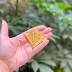 Golden Coral Fan Brooch