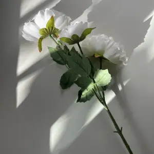 White Peony Floral Stem