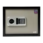 LG Safe - 30 NEK GRAY