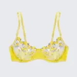 Sexy Butterfly Lace Bra Set Full Bust Minimizer