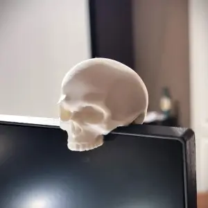 Monitor Buddy Skull