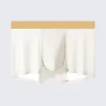 Men's Ice Silk Anti-Bacterial Crotch 120S Ultra-Thin Boxer Briefs