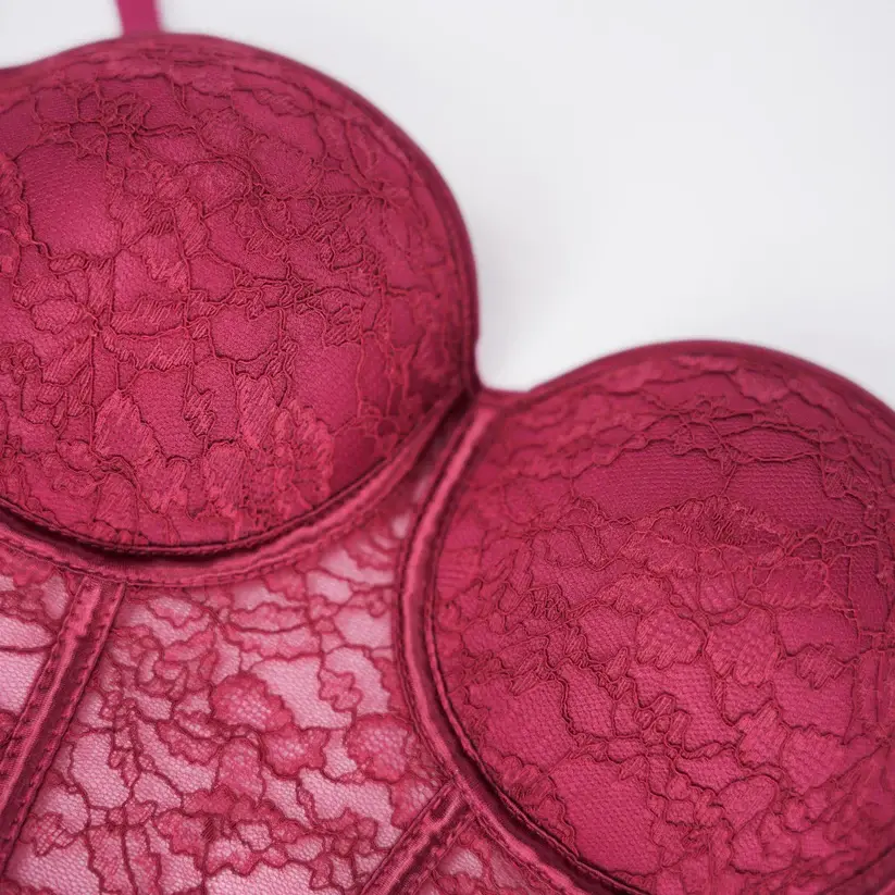 Red Floral Lace Sculpting Corset