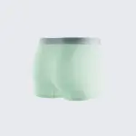Men's Ice Silk Anti-Bacterial Crotch 120S Ultra-Thin Boxer Briefs