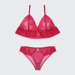 Plus Size Sexy Sheer Lace Mesh Bra Panty Set