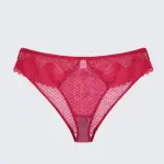Plus Size Sexy Sheer Lace Mesh Bra Panty Set
