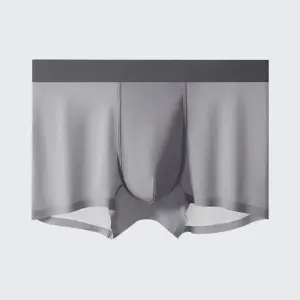 Men's Ice Silk Anti-Bacterial Crotch 120S Ultra-Thin Boxer Briefs