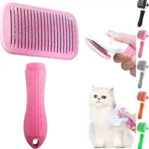 فرشاة بزرار على كارت mm12-485