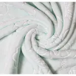 CozyNest Baby Blanket (mint green)