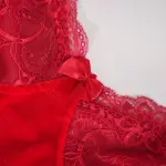 Elegant Lace Trim Sexy Passionate Bodysuit