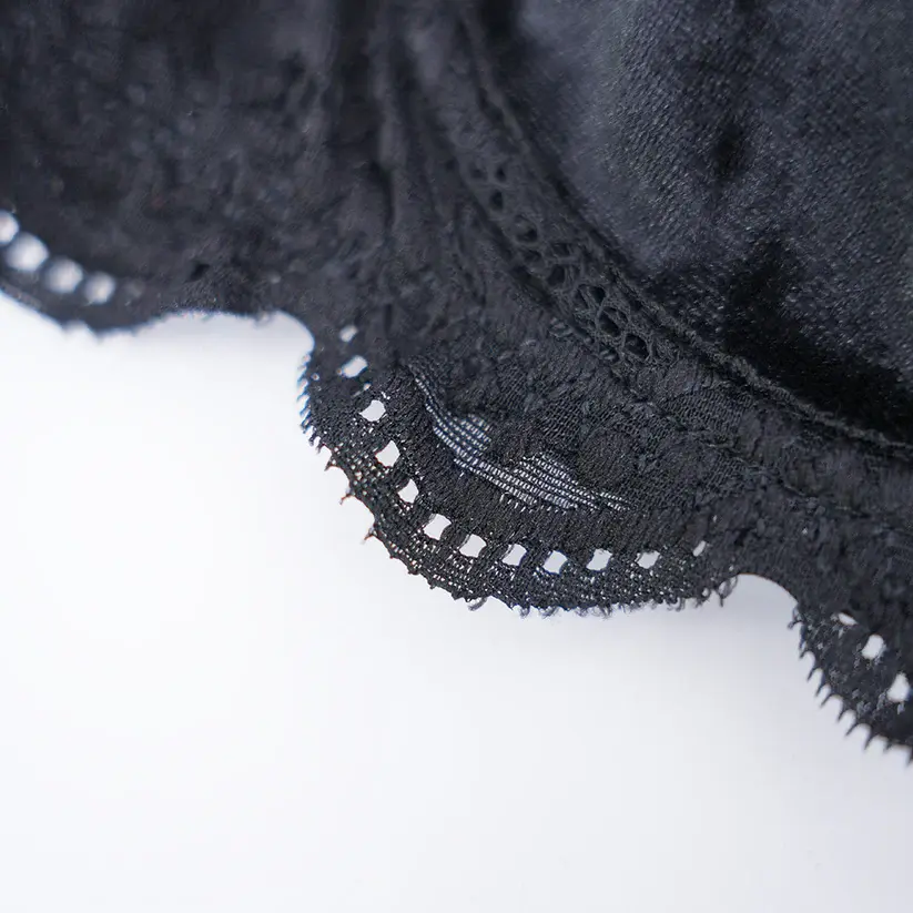 Velvet Lace Trim Sexy Plush See Through Push Up Bra Panty Set