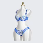 Geometric Lace Embroidery Lingerie Set