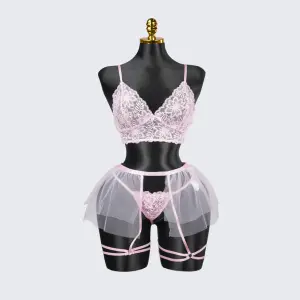 Plus Size Sheer Lace Bra Panty Set with Mesh Skirt