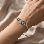 انسيال هلال و نجمه