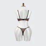 Leopard Lace Embroidered Panty Bra Set
