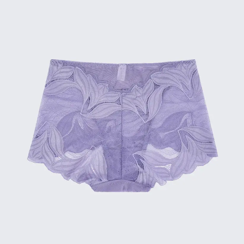 Plus Size Women's Lace See-through Panty