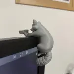 Monitor Buddy Raccoon