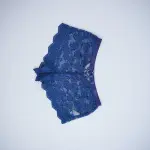 Dreamy Blue Lace Bra Panty Sets