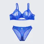 Sexy Sheer Lace Embroidered See Through Bra Panty Set
