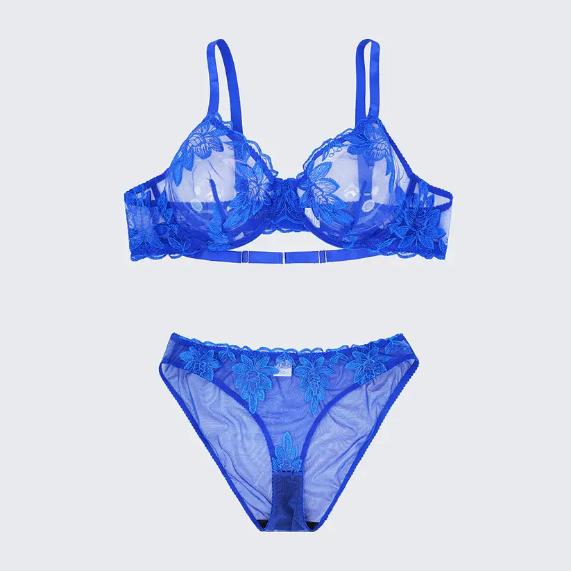 Sexy Sheer Lace Embroidered See Through Bra Panty Set